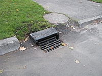 Picture 012 (Medium)