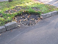 Picture 013 (Medium)