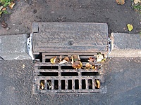 Picture 014 (Medium)