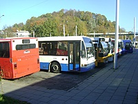 DSC08779