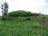 Vaizbūniškio dvaras