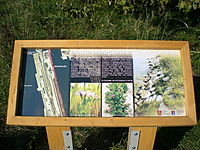 Uostas 2010 10 05(144 krantine ) 003