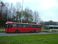 Copy of DSC09369
