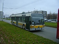 Copy of DSC09375
