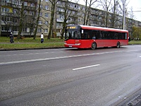 Copy of DSC09515