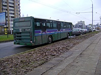 Copy of DSC09655