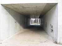 IMG 7864 (Medium)