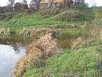 Marijampolė