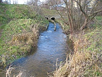 Marijampolė