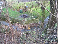 Marijampolė