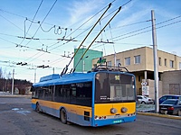 100 5951