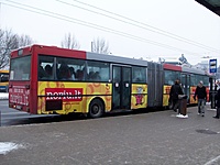 100 1996