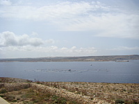 Comino 23