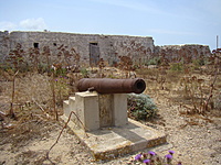 Comino 24