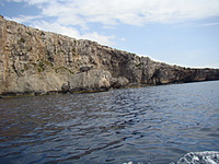 Comino 31