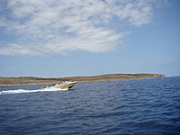 Comino 35