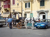 Valletta 5