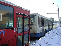 Copy of DSC00006