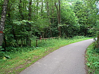 Karkle Palanga(dvir) 2010 07 01 010