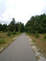 Karkle Palanga(dvir) 2010 07 01 021
