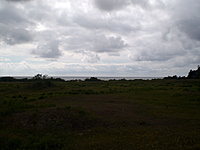 Karkle Palanga(dvir) 2010 07 01 027