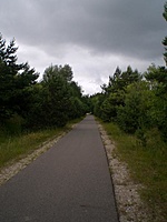 Karkle Palanga(dvir) 2010 07 01 028