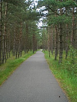 Karkle Palanga(dvir) 2010 07 01 038