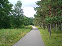 Karkle Palanga(dvir) 2010 07 01 040