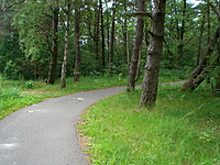 Karkle Palanga(dvir) 2010 07 01 041