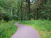 Karkle Palanga(dvir) 2010 07 01 043