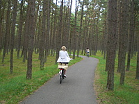 Karkle Palanga(dvir) 2010 07 01 045