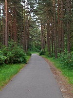 Karkle Palanga(dvir) 2010 07 01 046