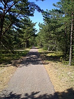 Juodkrante Smiltyne II(dvir) 2010 06 30 008