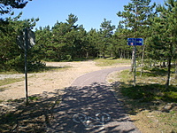 Juodkrante Smiltyne II(dvir) 2010 06 30 009