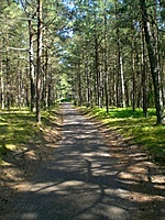 Juodkrante Smiltyne II(dvir) 2010 06 30 011
