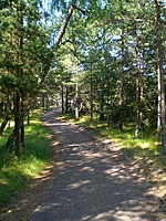 Juodkrante Smiltyne II(dvir) 2010 06 30 013