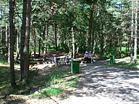 Juodkrante Smiltyne II(dvir) 2010 06 30 014