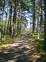 Juodkrante Smiltyne II(dvir) 2010 06 30 019