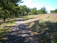 Juodkrante Smiltyne II(dvir) 2010 06 30 020