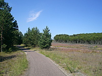 Juodkrante Smiltyne II(dvir) 2010 06 30 024