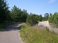 Juodkrante Smiltyne II(dvir) 2010 06 30 027