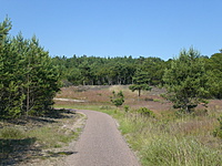 Juodkrante Smiltyne II(dvir) 2010 06 30 029