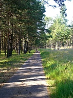 Juodkrante Smiltyne II(dvir) 2010 06 30 030