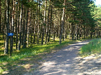 Juodkrante Smiltyne II(dvir) 2010 06 30 031