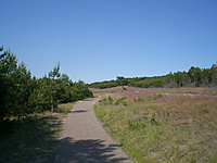 Juodkrante Smiltyne II(dvir) 2010 06 30 039