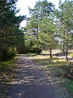 Juodkrante Smiltyne II(dvir) 2010 06 30 041