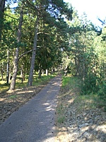 Juodkrante Smiltyne II(dvir) 2010 06 30 046