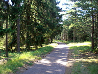 Juodkrante Smiltyne II(dvir) 2010 06 30 048