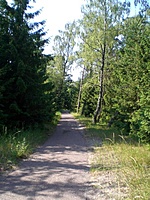Juodkrante Smiltyne II(dvir) 2010 06 30 050