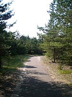 Juodkrante Smiltyne II(dvir) 2010 06 30 052